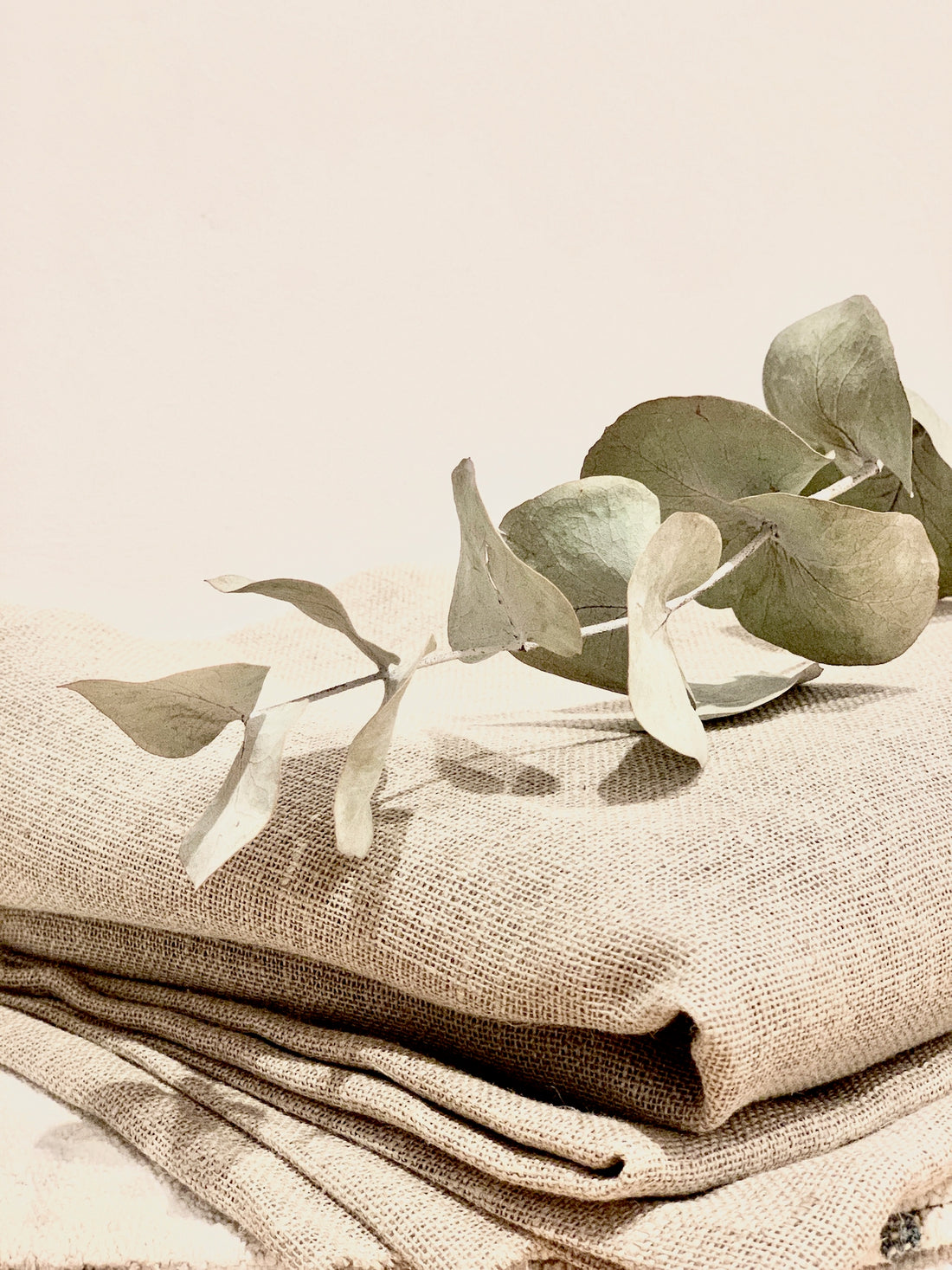 Vocco. Sustainable Luxe. Concept & Phylosophy.